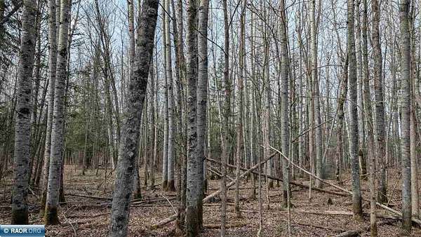 1 Acre of Residential Land for Sale in Cook, Minnesota