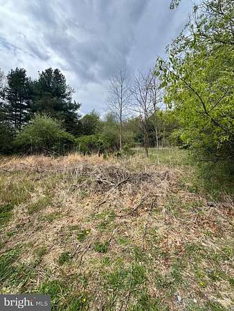 4 Acres of Land for Sale in Mathias, West Virginia