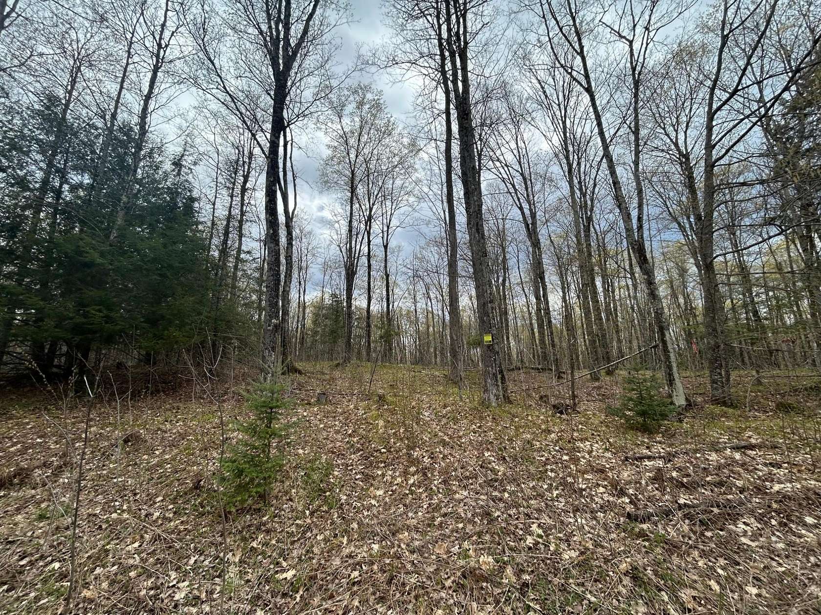 5.15 Acres of Land for Sale in Pelican Lake, Wisconsin