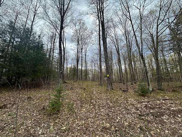 5.15 Acres of Land for Sale in Pelican Lake, Wisconsin