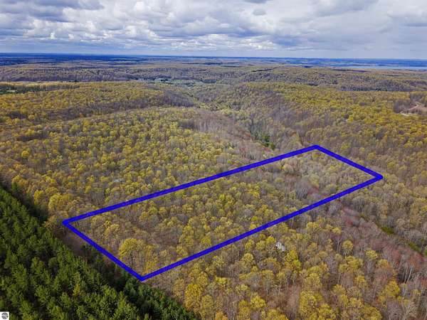 10 Acres of Recreational Land for Sale in Rapid City, Michigan