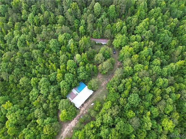 60 Acres of Recreational Land for Sale in Kennedy, Alabama