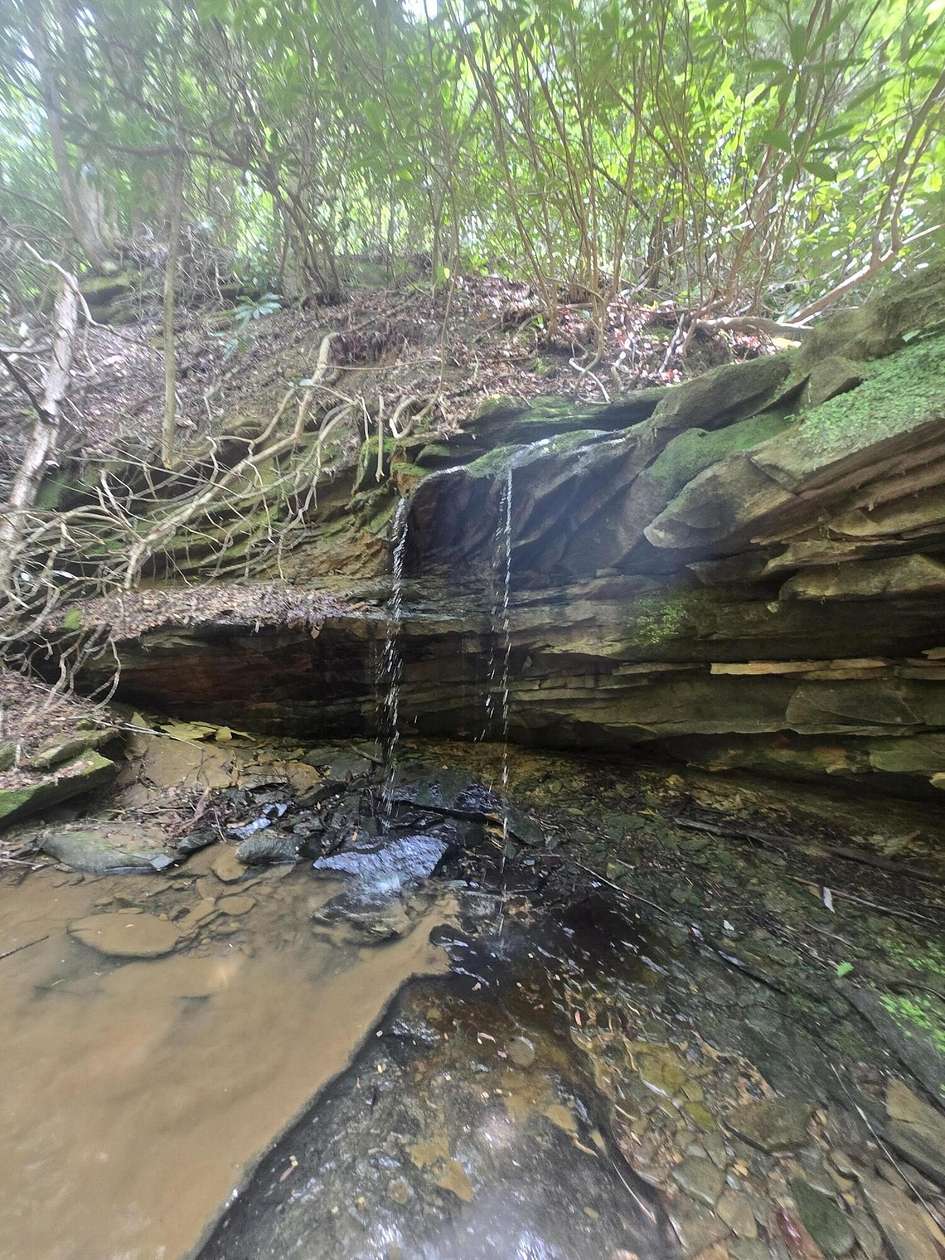5.64 Acres of Recreational Land for Sale in Campton, Kentucky
