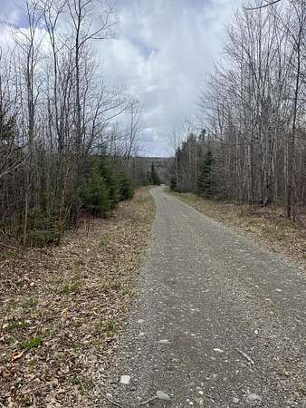 81 Acres of Recreational Land for Sale in Weston, Maine