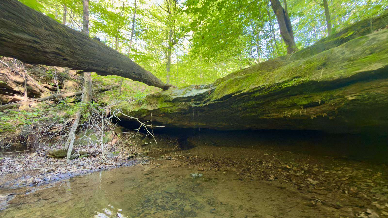 25.5 Acres of Recreational & Residential Land for Sale in McArthur, Ohio