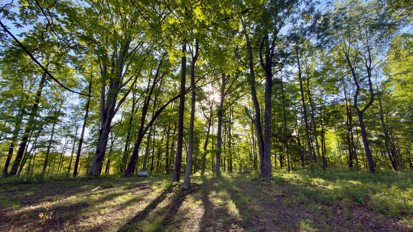 25.5 Acres of Recreational & Residential Land for Sale in McArthur, Ohio