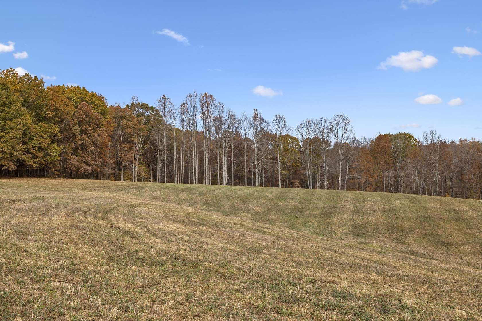28.5 Acres of Recreational & Residential Land for Sale in Franklin, Tennessee
