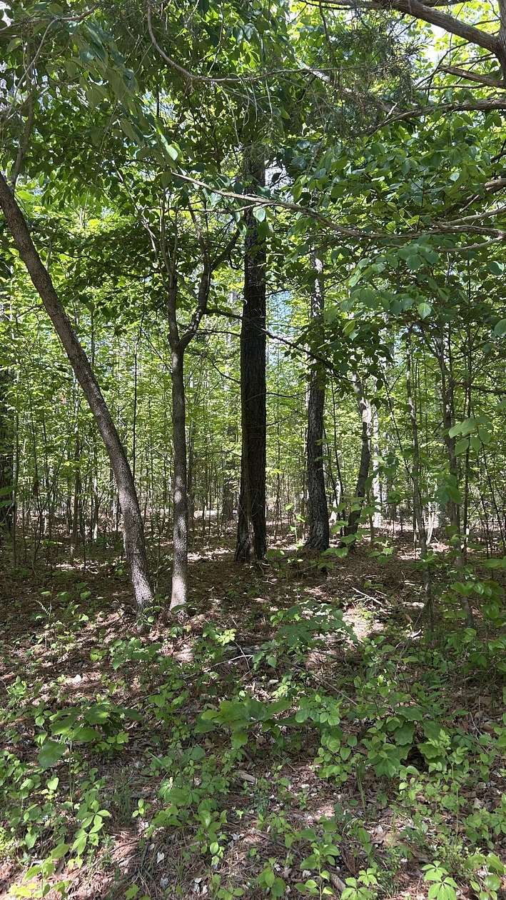 16.1 Acres of Land for Sale in Bedford, Virginia