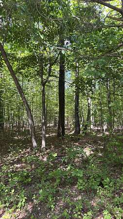 16.1 Acres of Land for Sale in Bedford, Virginia