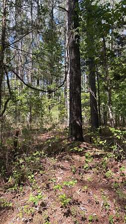 11.7 Acres of Land for Sale in Bedford, Virginia