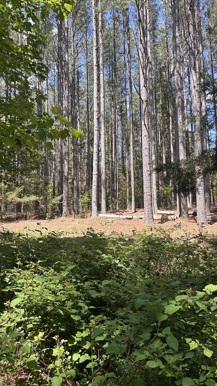 9.27 Acres of Residential Land for Sale in Bedford, Virginia