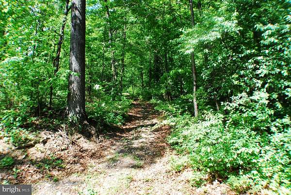 5 Acres of Residential Land for Sale in Winchester, Virginia