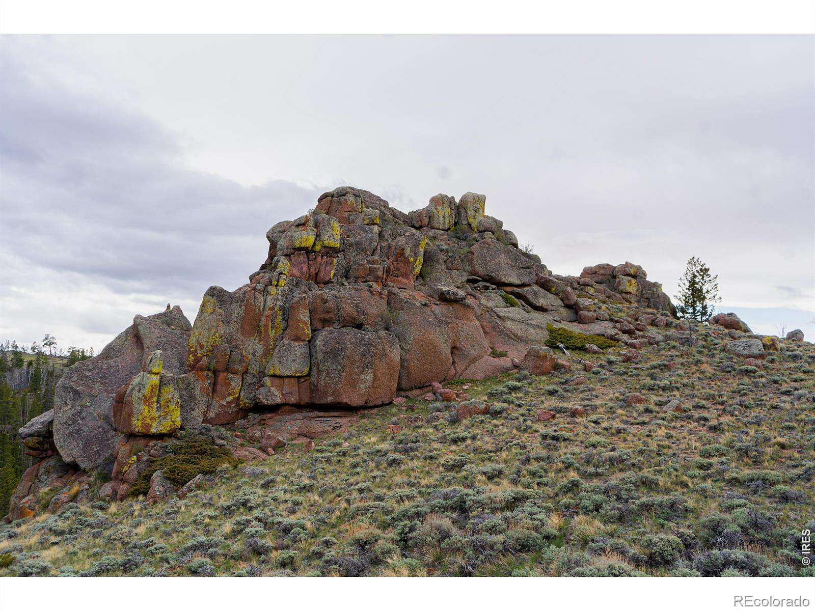 40 Acres of Land for Sale in Livermore, Colorado