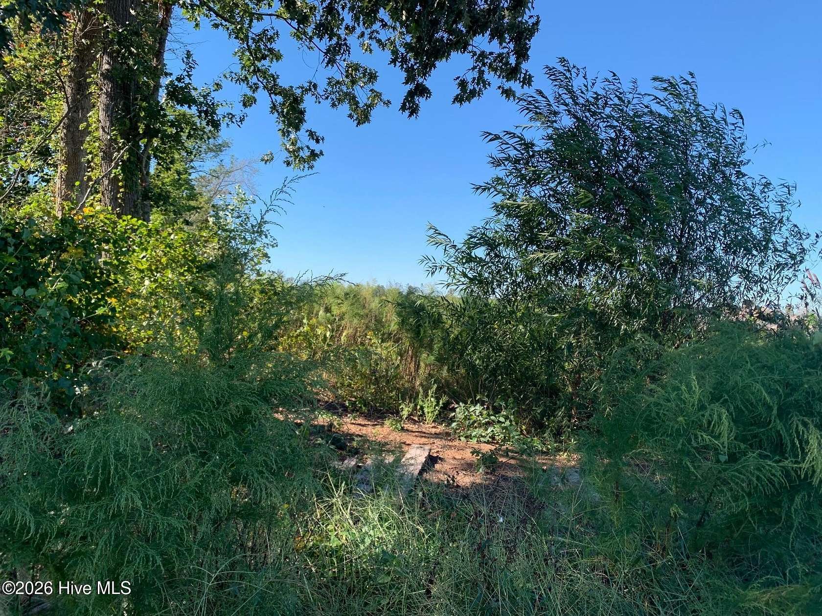 7.86 Acres of Residential Land for Sale in Windsor, North Carolina