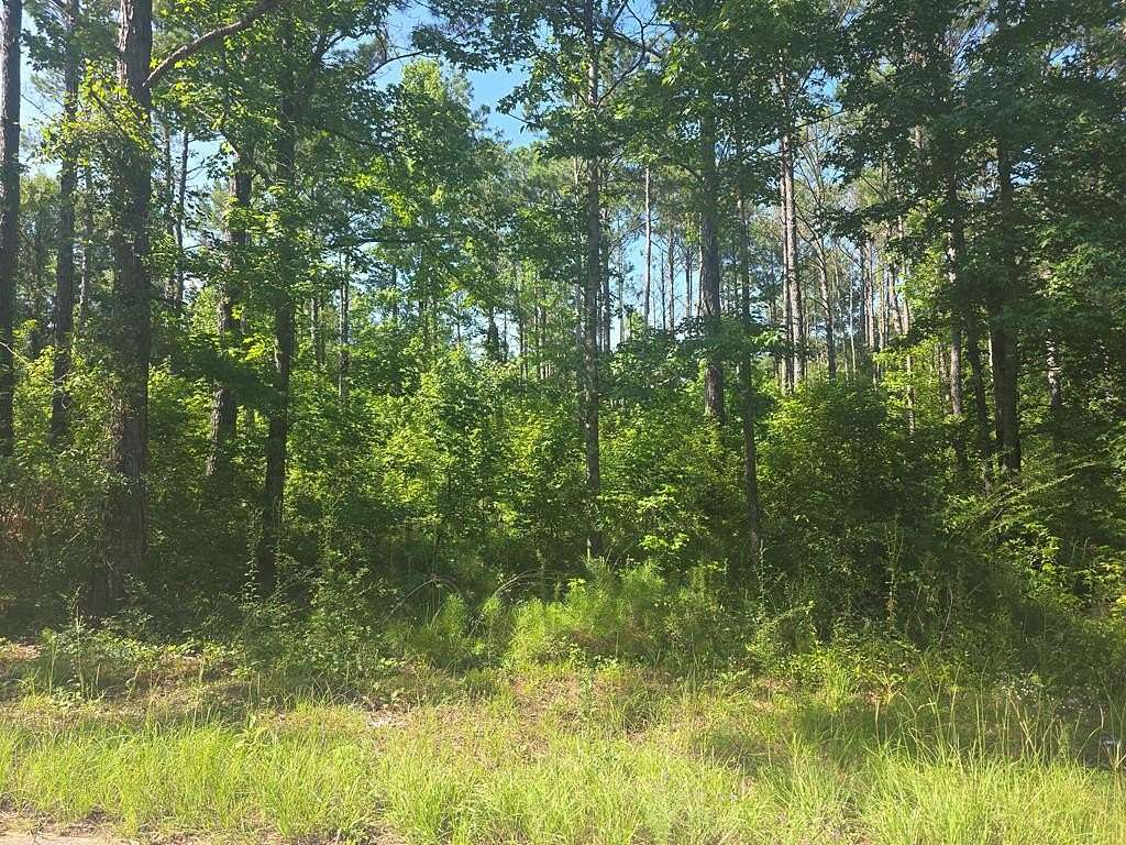 0.5 Acres of Residential Land for Sale in Georgetown, Georgia