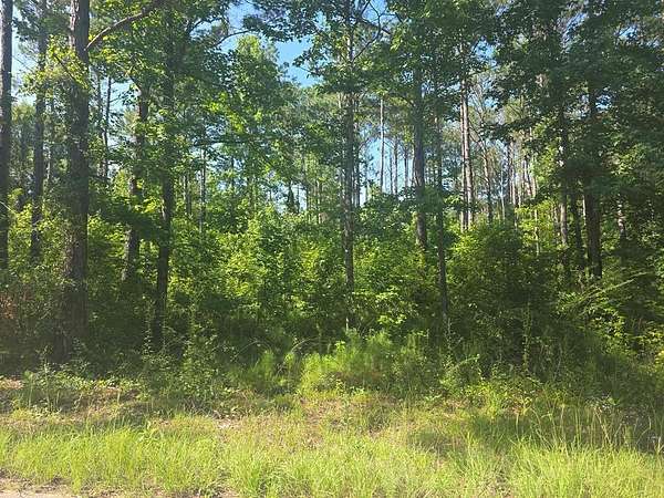 0.5 Acres of Residential Land for Sale in Georgetown, Georgia
