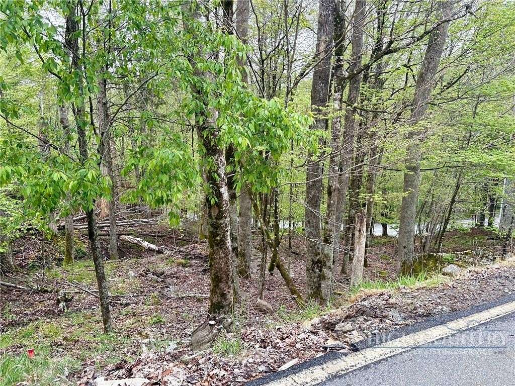 0.35 Acres of Land for Sale in Beech Mountain, North Carolina