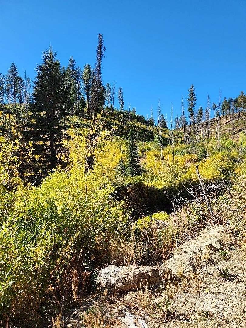 41.3 Acres of Recreational Land for Sale in Featherville, Idaho