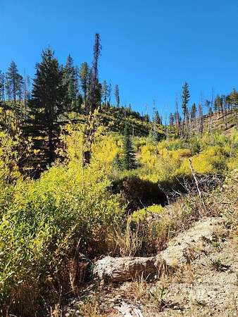 41.3 Acres of Recreational Land for Sale in Featherville, Idaho
