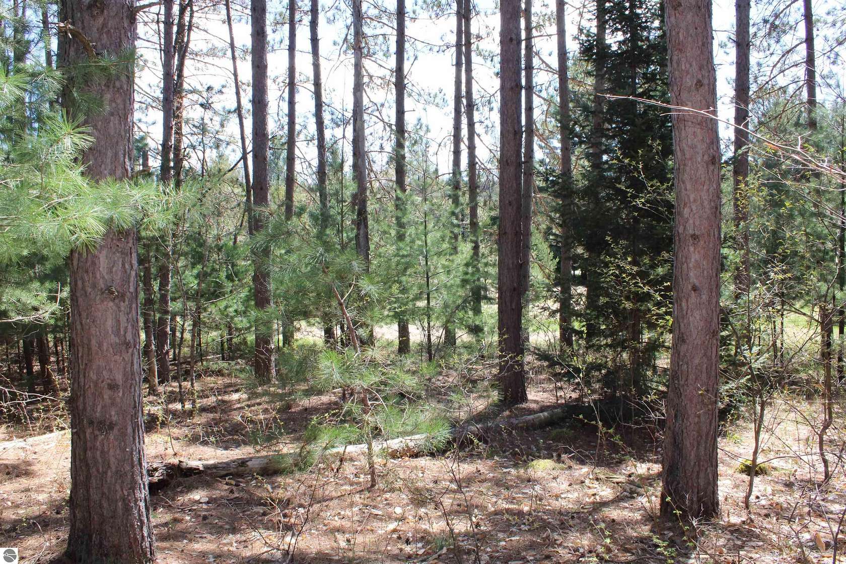 66.5 Acres of Land for Sale in Rapid City, Michigan