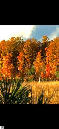 66.5 Acres of Recreational Land for Sale in Rapid City, Michigan