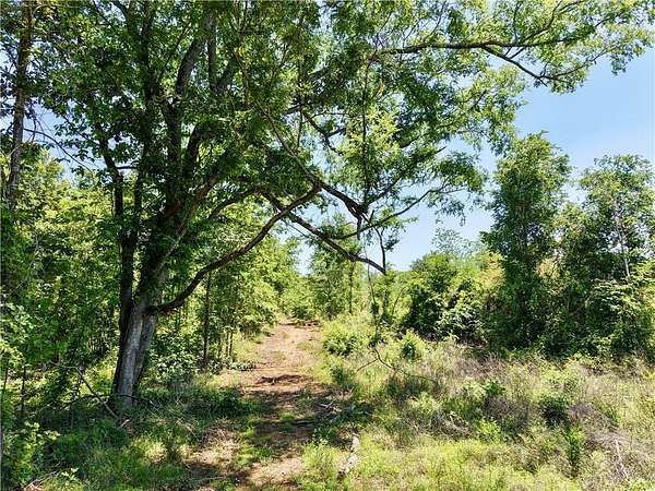 92 Acres of Recreational Land for Sale in Lincoln, Alabama