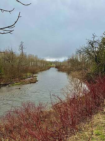 4.6 Acres of Land for Sale in Westfield, Maine