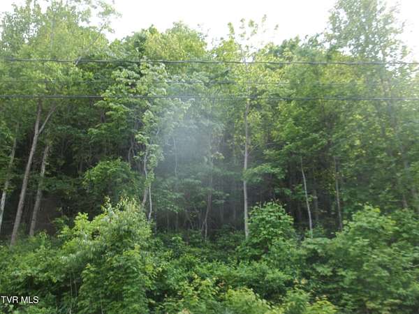 2.4 Acres of Residential Land for Sale in Mount Carmel, Tennessee