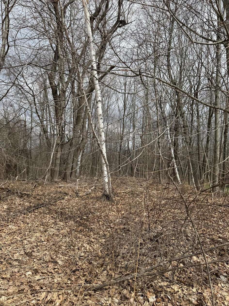 1 Acre of Residential Land for Sale in Monmouth, Maine
