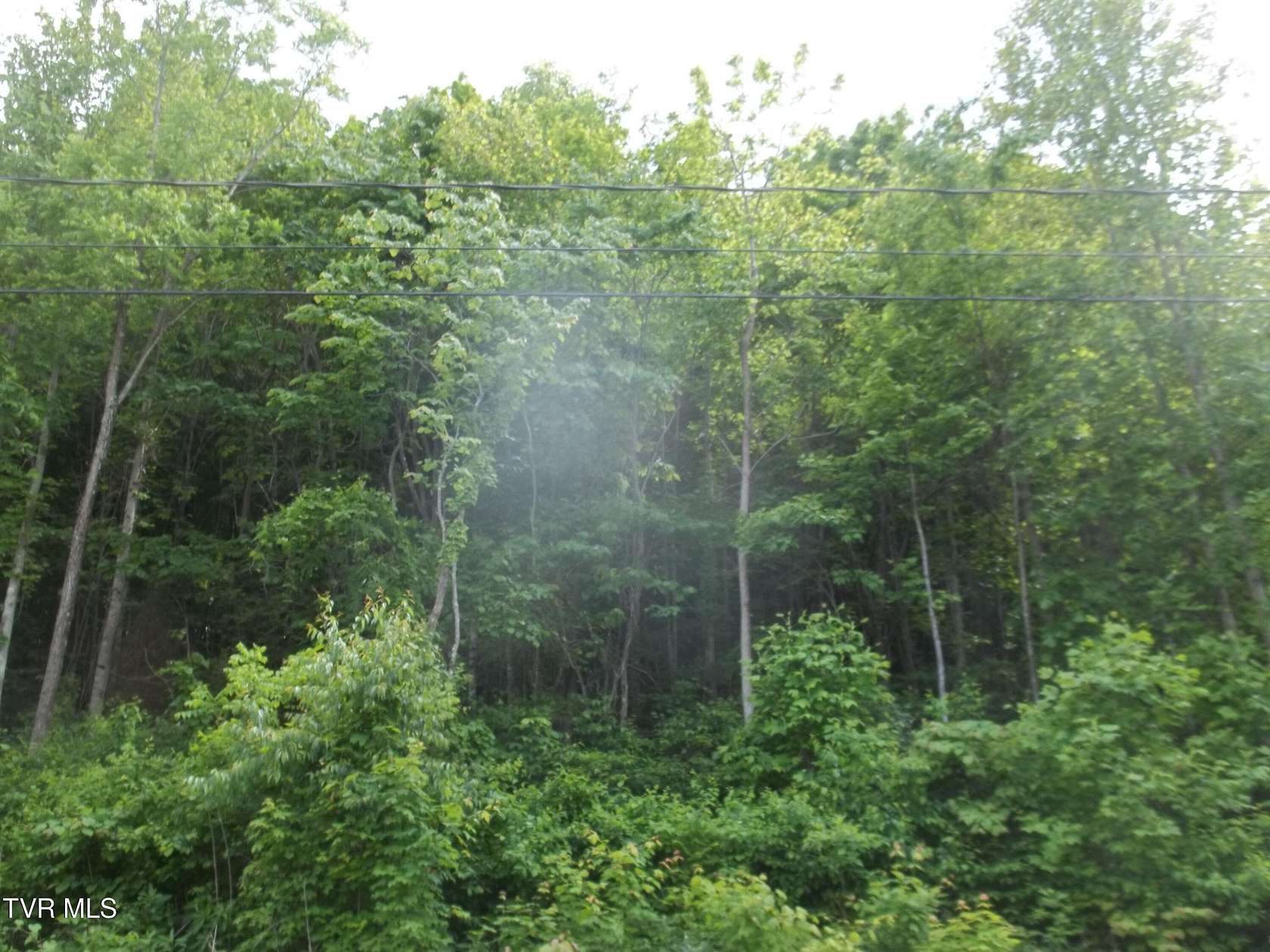 Residential Land for Sale in Mount Carmel, Tennessee