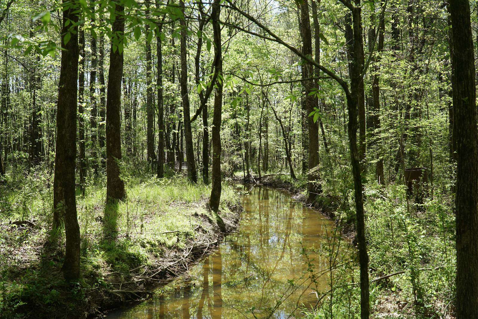 10 Acres of Recreational & Residential Land for Sale in Eldridge, Alabama