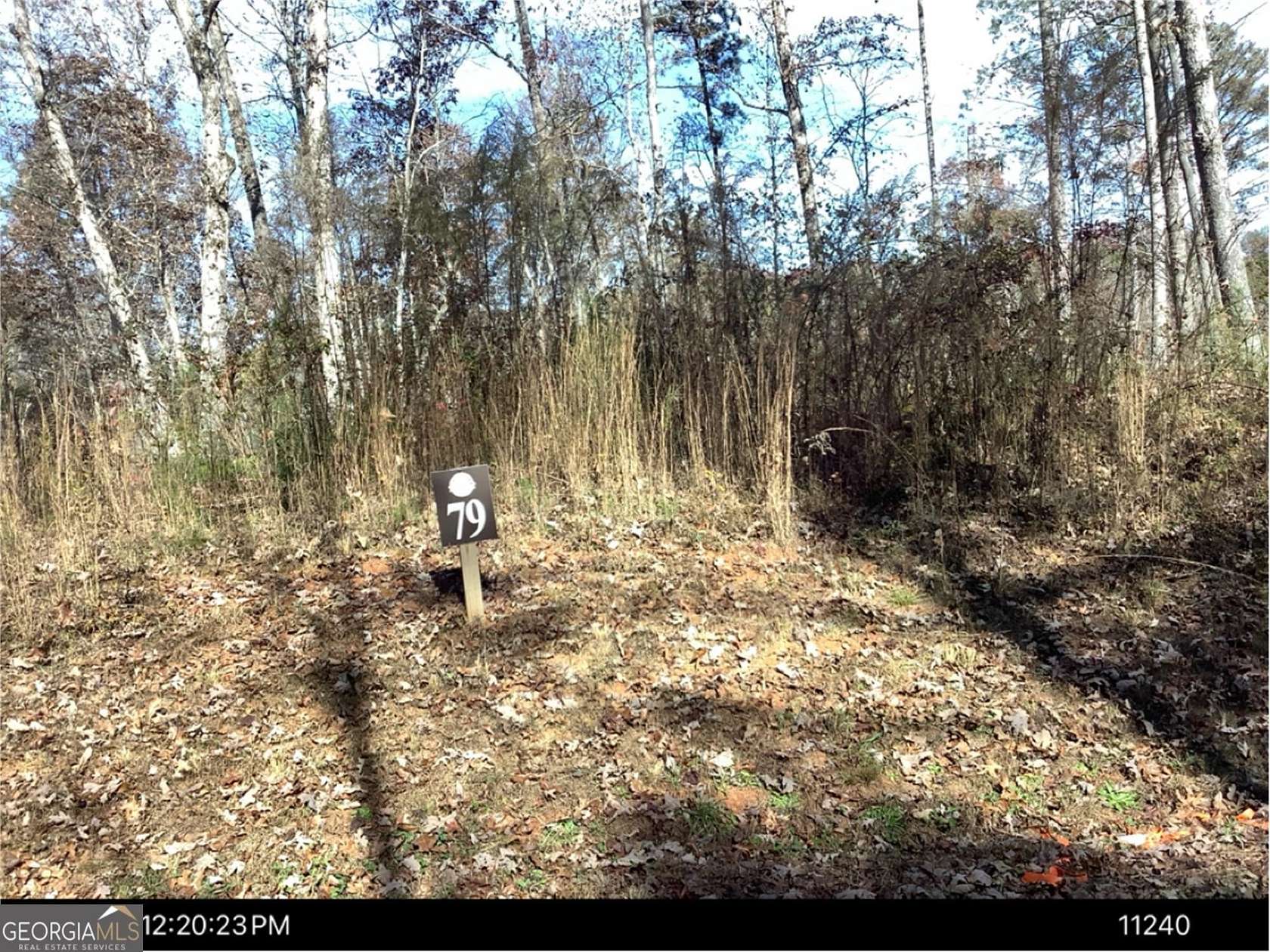 1.2 Acres of Residential Land for Sale in Ellijay, Georgia
