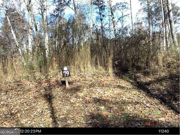 1.2 Acres of Residential Land for Sale in Ellijay, Georgia