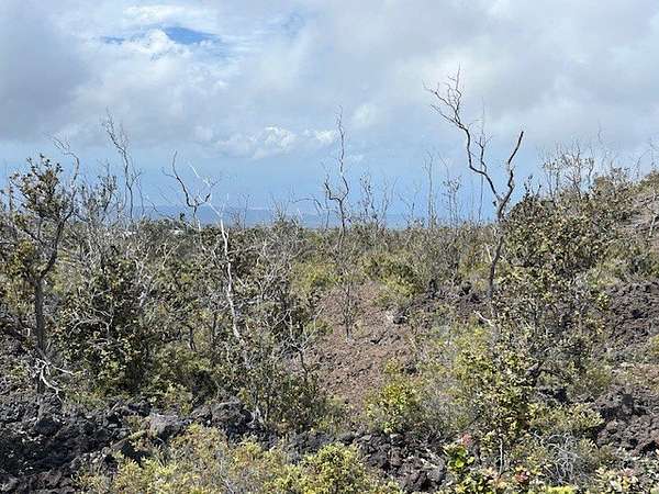 1 Acre of Land for Sale in Hawaiian Ocean View, Hawaii