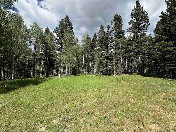 6 Acres of Residential Land for Sale in Angel Fire, New Mexico