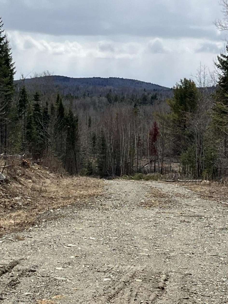 331 Acres of Recreational Land for Sale in Carroll Plantation, Maine