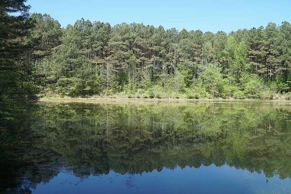 20 Acres of Recreational & Residential Land for Sale in Eldridge, Alabama