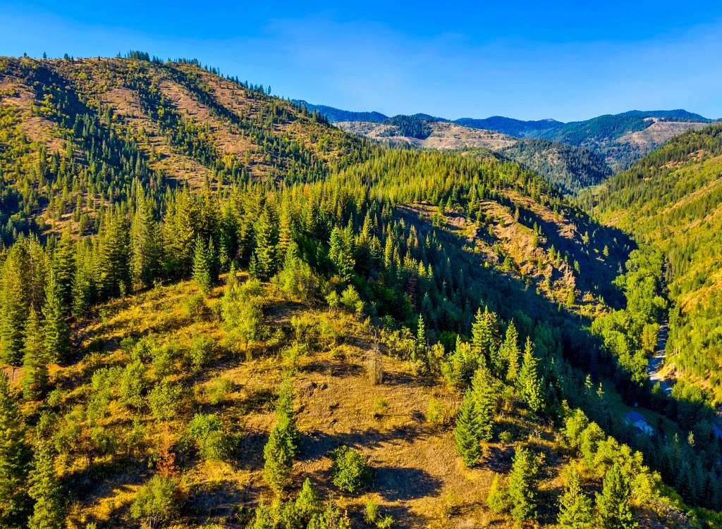 35.9 Acres of Recreational Land for Sale in Kellogg, Idaho