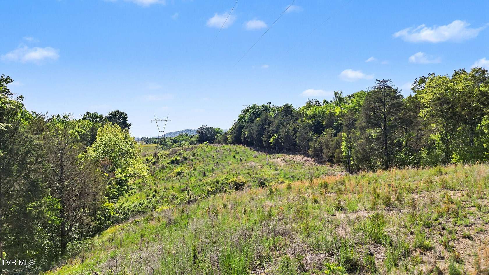 7.5 Acres of Residential Land for Sale in Mosheim, Tennessee