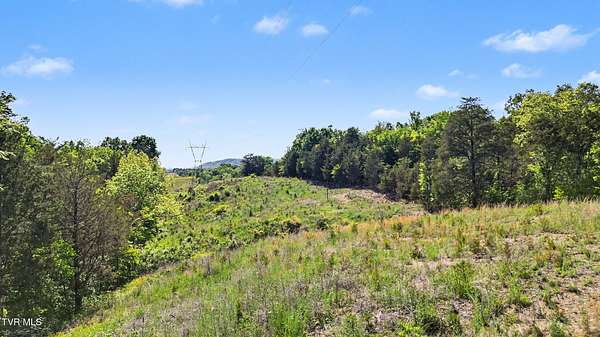 7.5 Acres of Residential Land for Sale in Mosheim, Tennessee