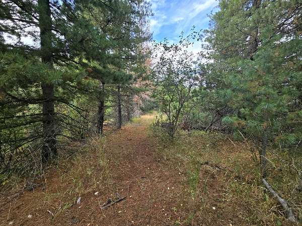 8 Acres of Recreational Land for Sale in Kellogg, Idaho