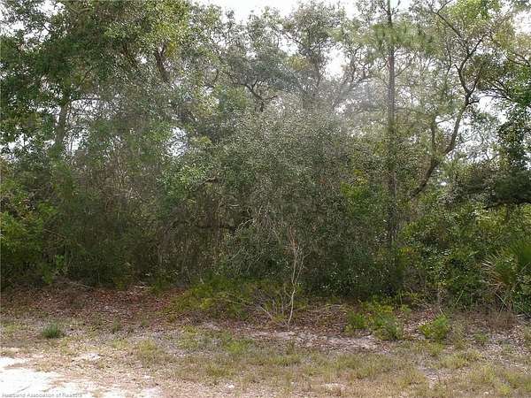 0.27 Acres of Residential Land for Sale in Lake Placid, Florida