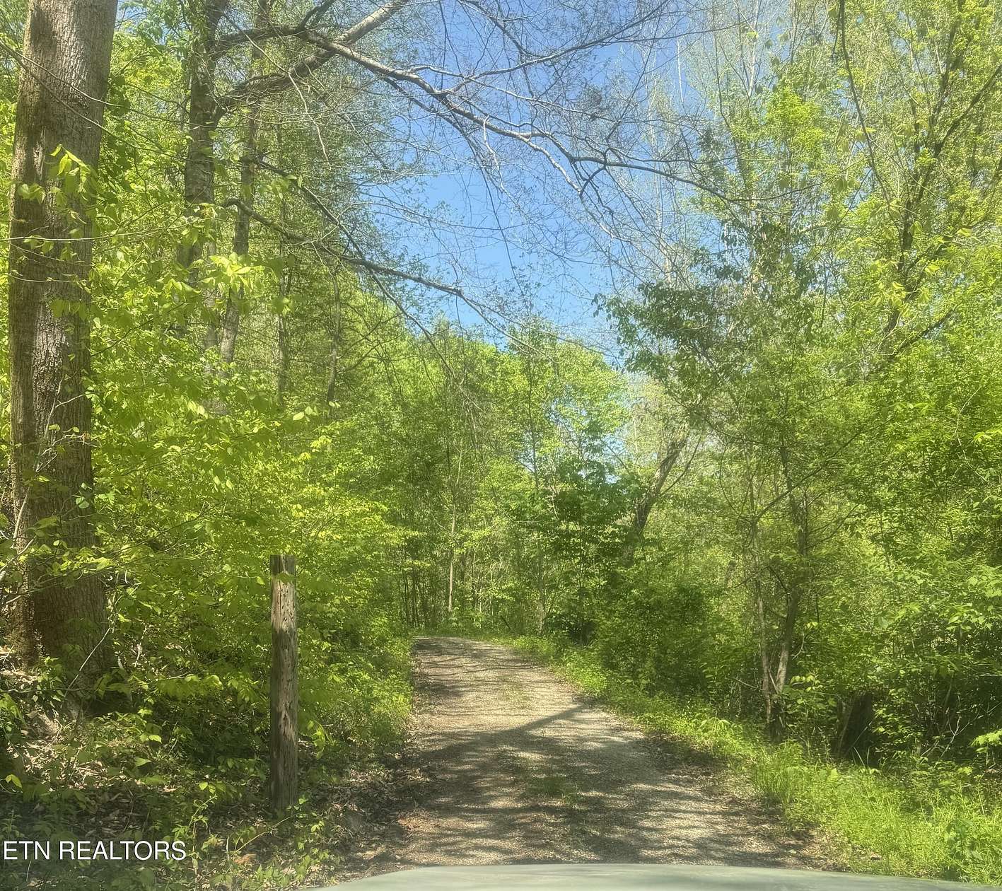 25 Acres of Land for Sale in Clairfield, Tennessee