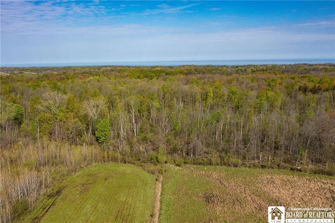 110 Acres of Recreational Land for Sale in Fredonia, New York