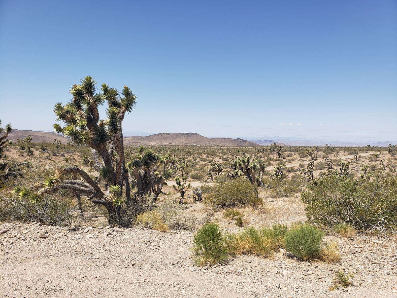 2.37 Acres of Residential Land for Sale in White Hills, Arizona