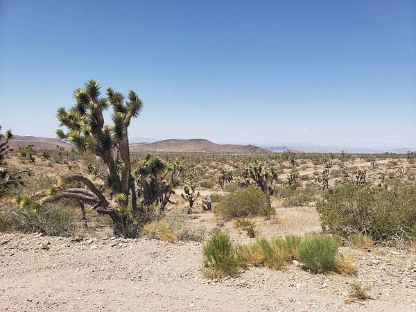 2.37 Acres of Residential Land for Sale in White Hills, Arizona