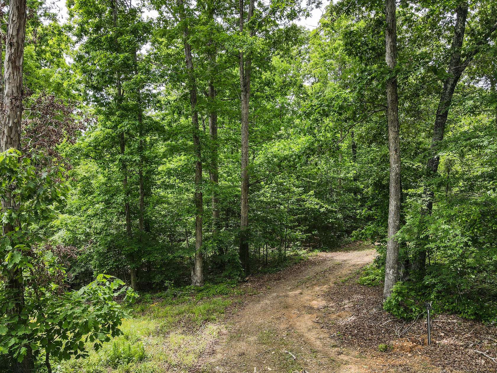 63 Acres of Recreational & Residential Land for Sale in Camden, Tennessee