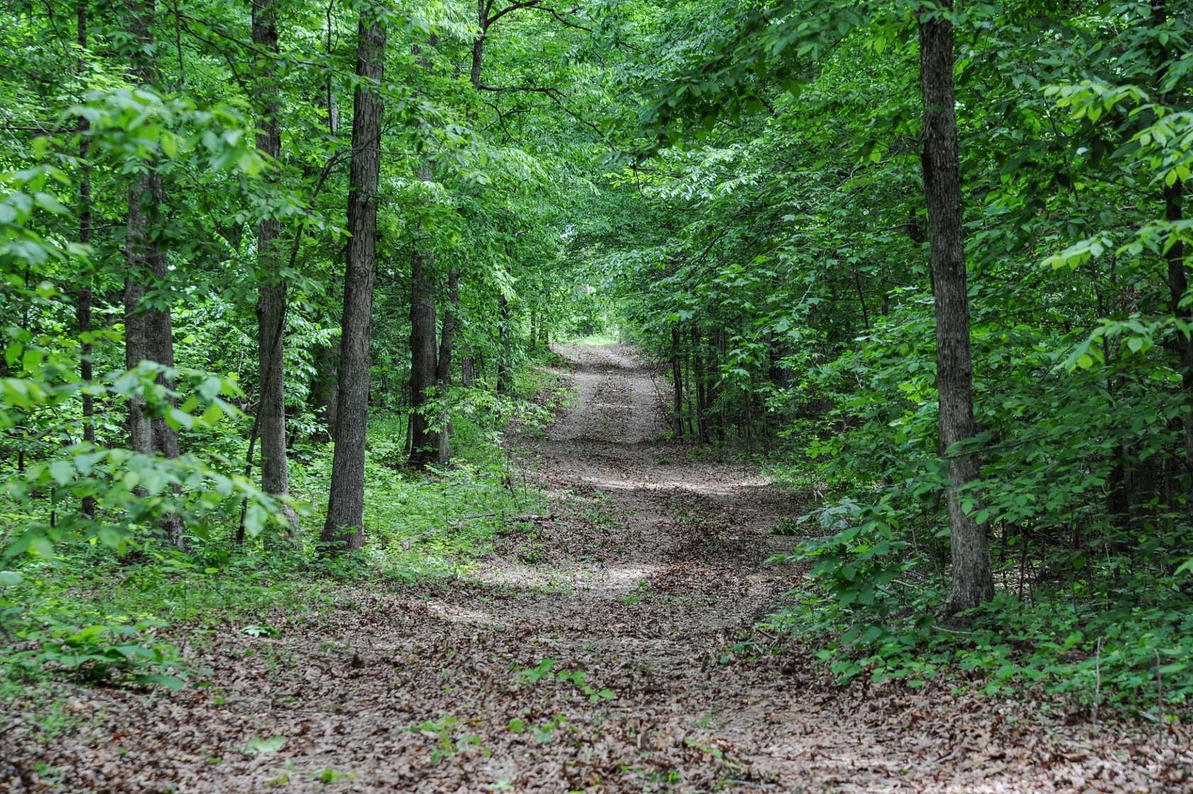 63 Acres of Recreational & Residential Land for Sale in Camden, Tennessee