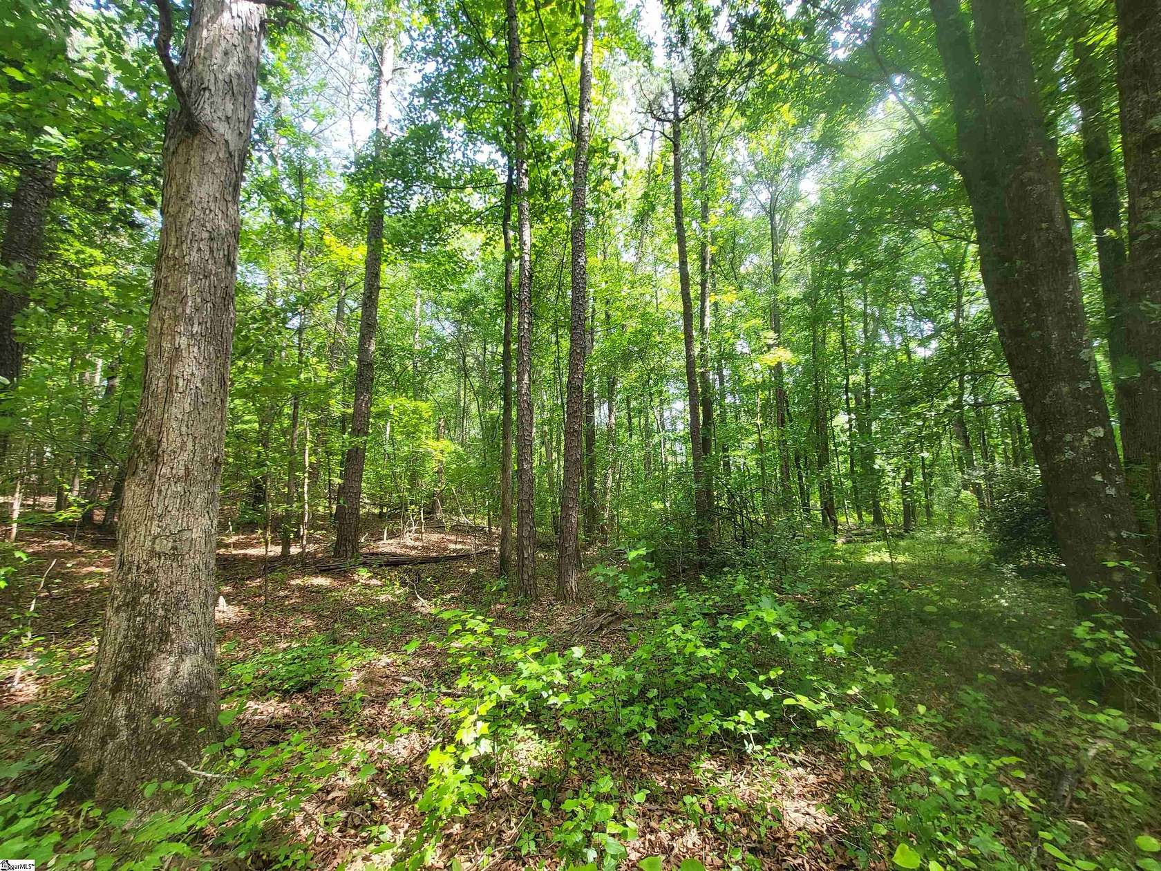 9.68 Acres of Residential Land for Sale in Cowpens, South Carolina