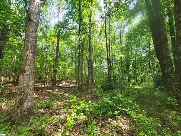 9.68 Acres of Residential Land for Sale in Cowpens, South Carolina